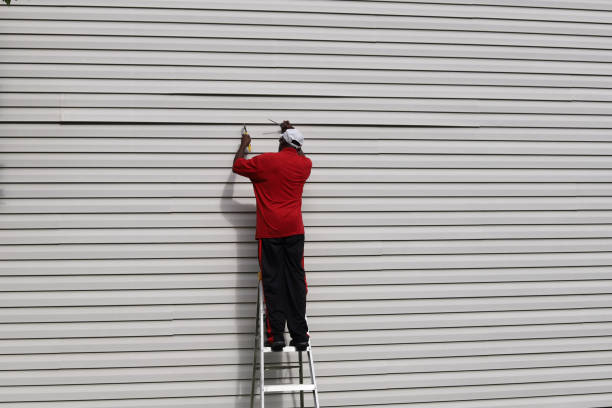Best Siding for New Construction  in Orlovista, FL
