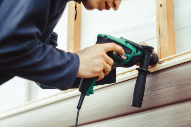 Best Vinyl Siding Installation  in Orlovista, FL